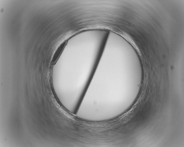 X0000060250805200511181327