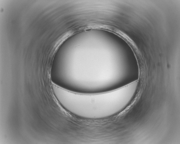 X0000060250809200511181327