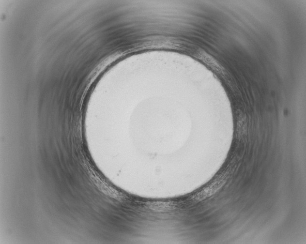 X0000060250836200511181327
