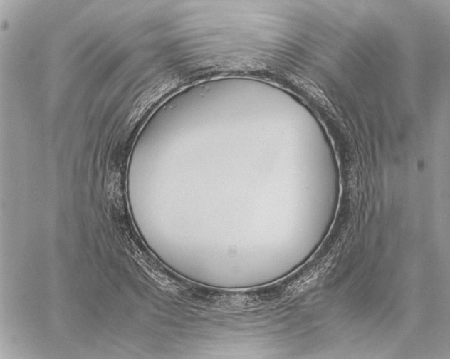 X0000060250881200511181326