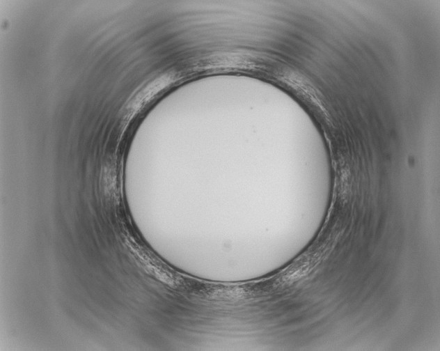 X0000060250882200511181326