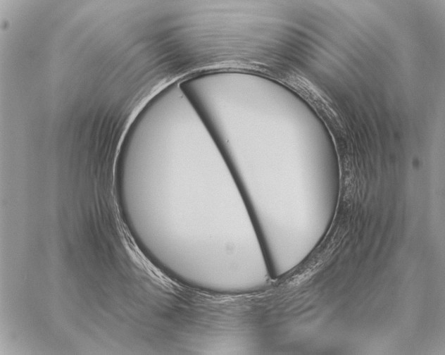 X0000060250892200511181326