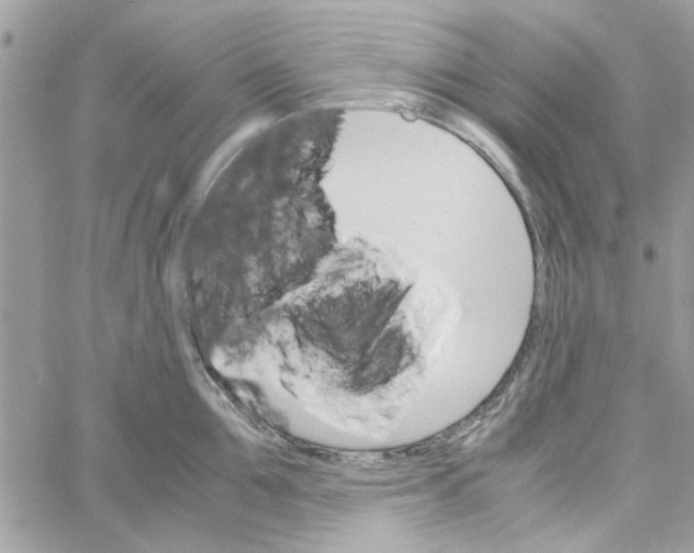 X0000060250907200511181326