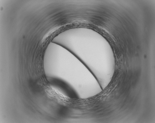 X0000060250919200511181325