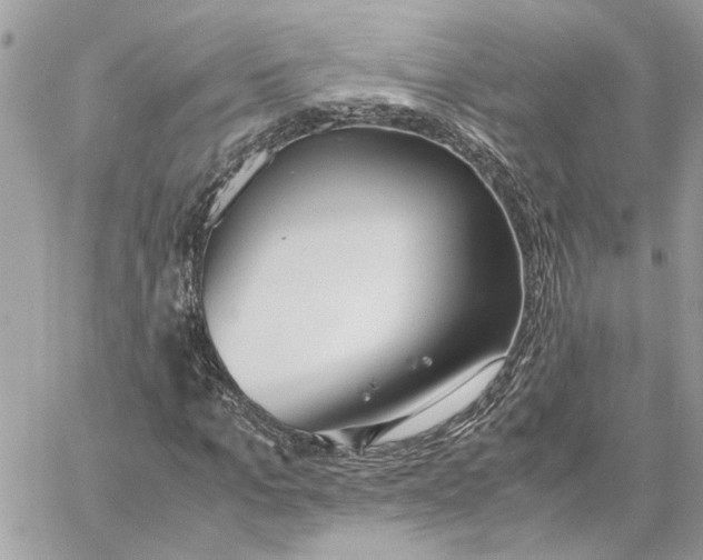 X0000060250965200511181325
