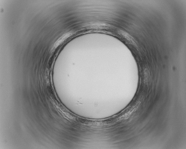 X0000060250970200511181325