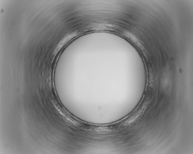 X0000060250986200511181324