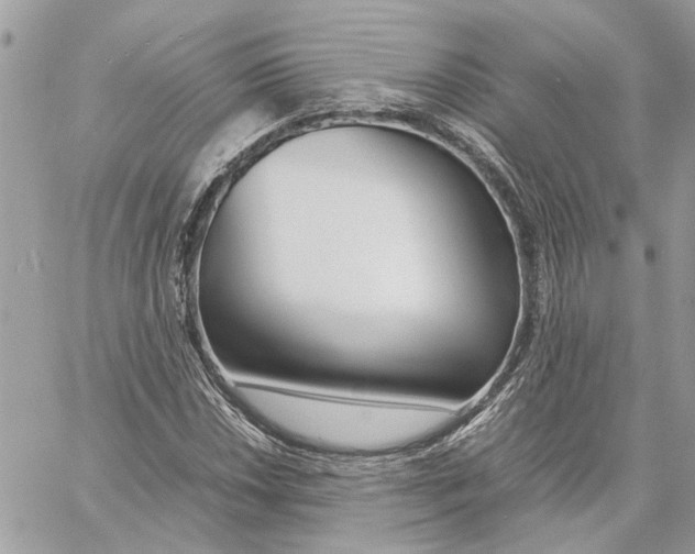 X0000060251018200511181323