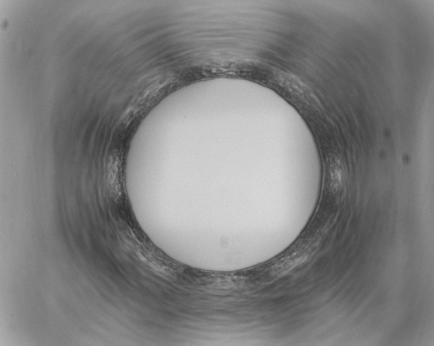 X0000060251060200511181323