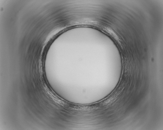 X0000060251072200511181323