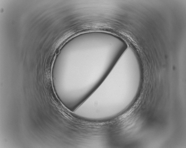 X0000060251073200511181323