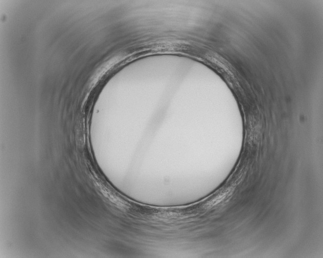 X0000060251075200511181323