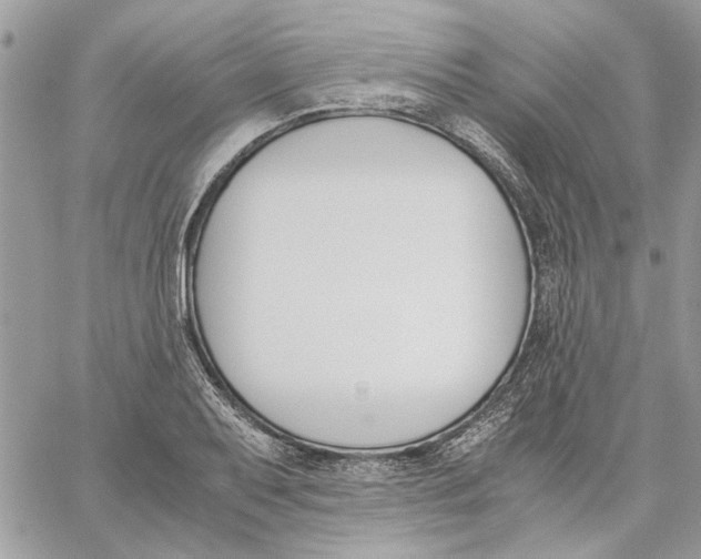 X0000060251079200511181323