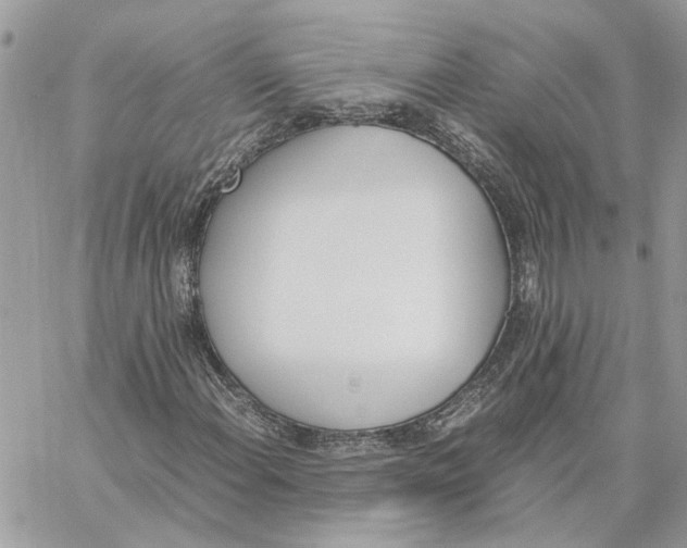 X0000060251108200511181322