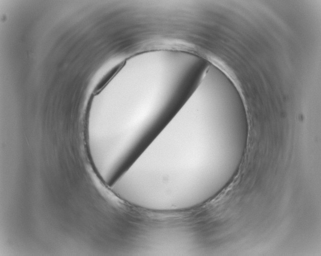 X0000060251152200511181322