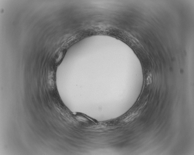 X0000060251156200511181321