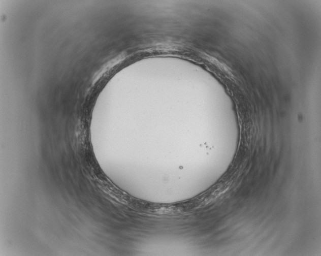 X0000060251160200511181321