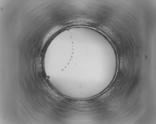 X0000060251164200511181321