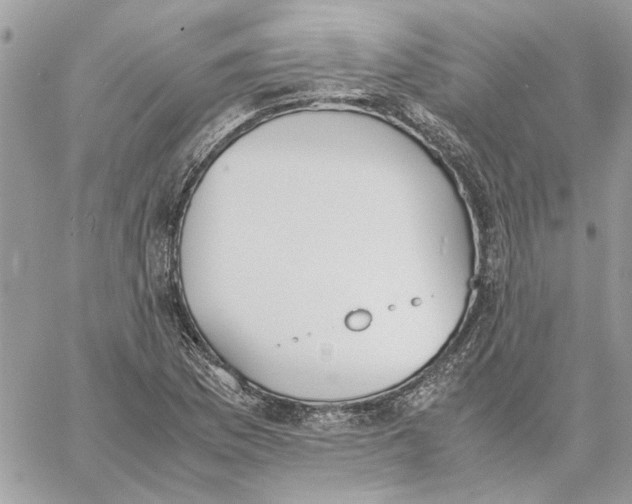 X0000060251169200511181321