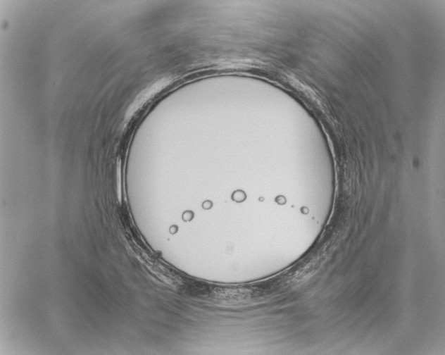 X0000060251171200511181321
