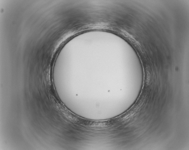 X0000060251174200511181321