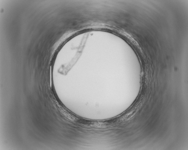 X0000060251175200511181321