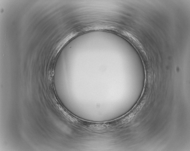 X0000060251185200511181321