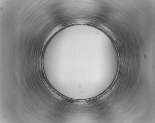 X0000060251186200511181321