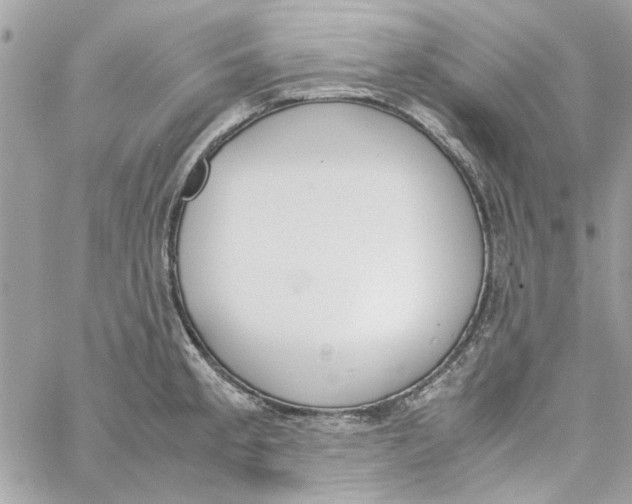 X0000060251189200511181321