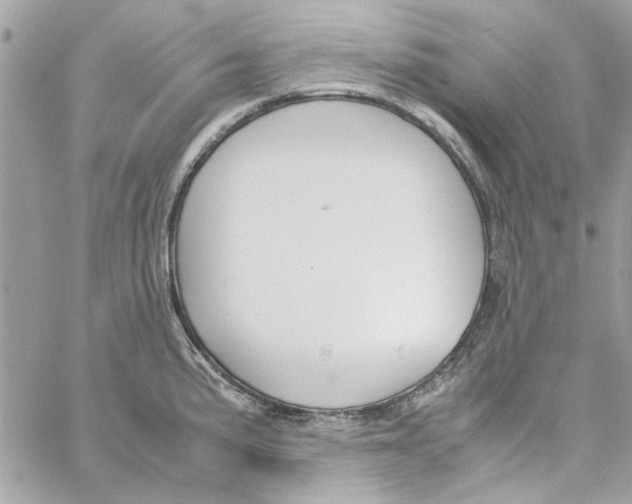 X0000060251191200511181321