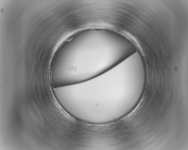 X0000060251192200511181321