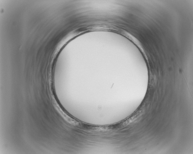 X0000060251195200511181321