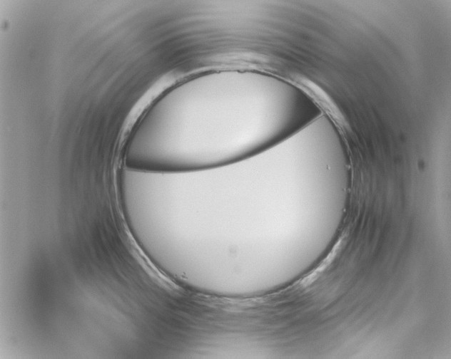 X0000060251196200511181321