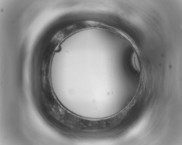 X0000060251199200511181321