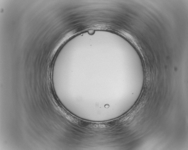 X0000060251235200511181321