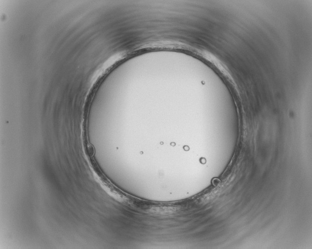 X0000060251237200511181321