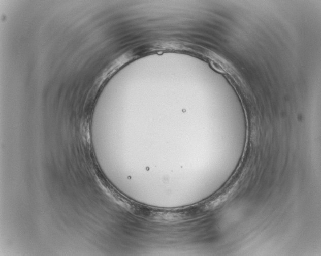 X0000060251241200511181321