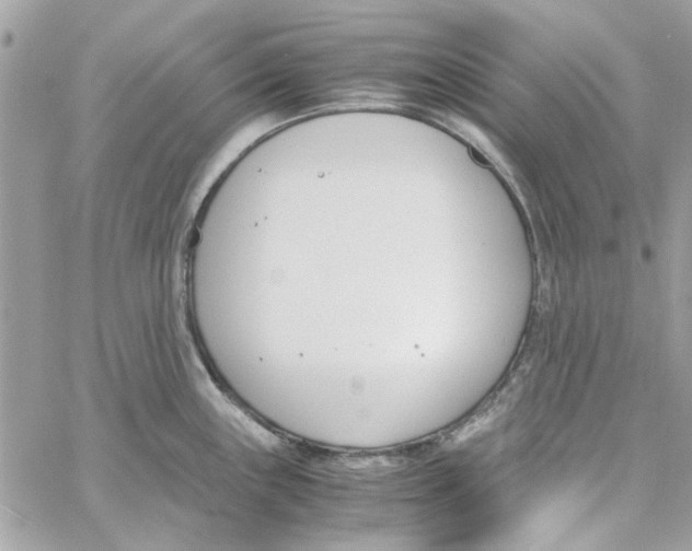 X0000060251243200511181321