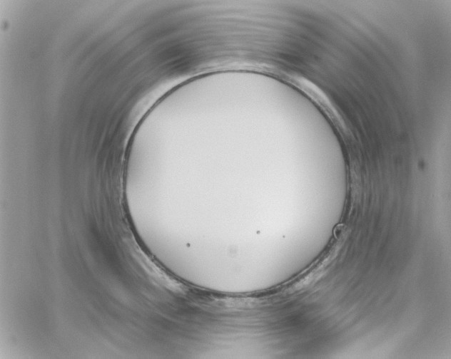 X0000060251244200511181321