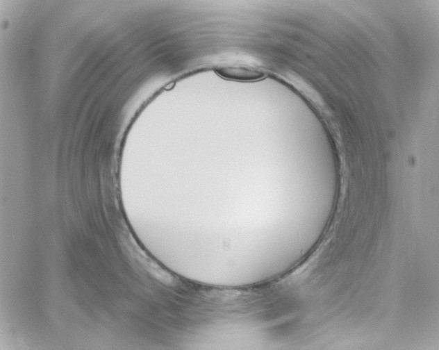 X0000060251248200511181321