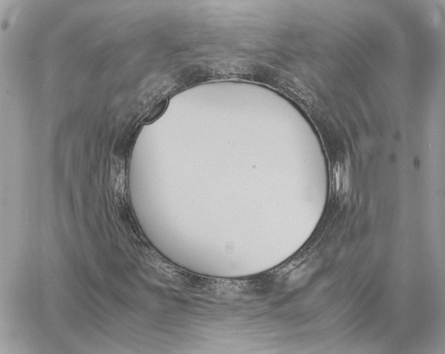 X0000060251251200511181320