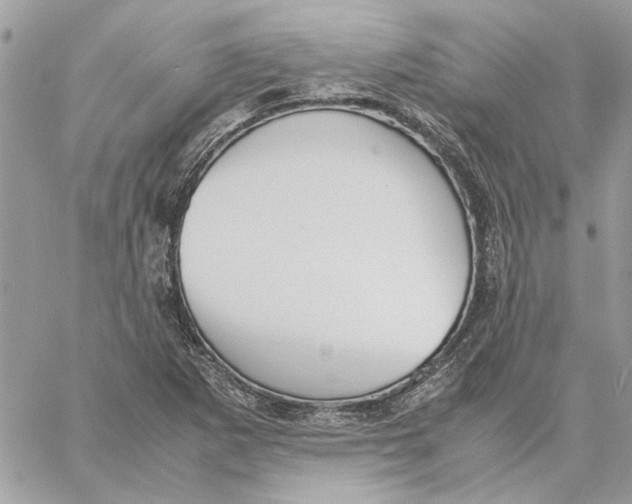 X0000060251265200511181320