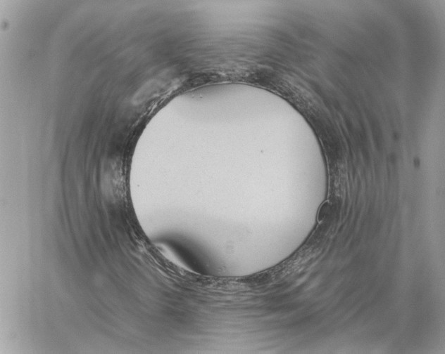 X0000060251298200511181318