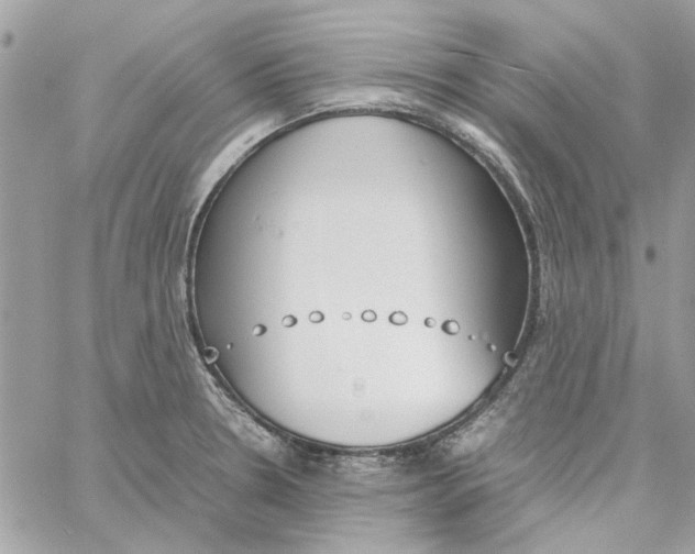 X0000060251330200511181319