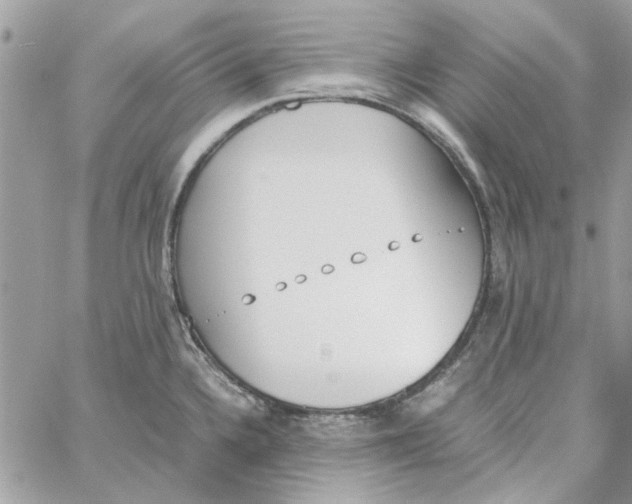X0000060251336200511181319