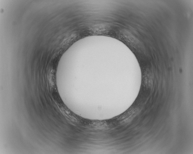X0000060251346200511181318