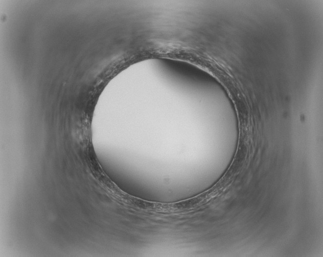X0000060251349200511181318