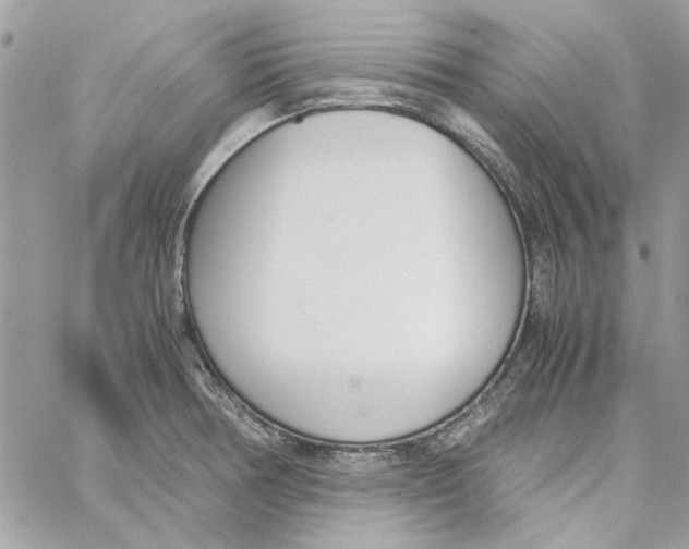 X0000060251378200511181318