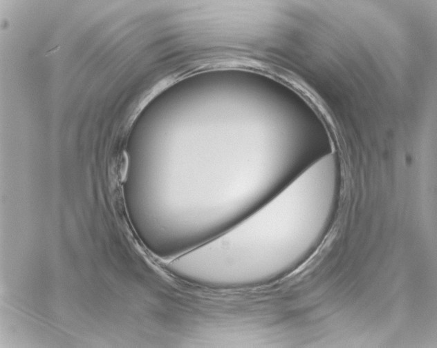 X0000060251385200511181318