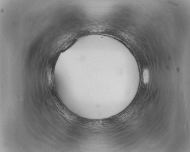 X0000060251444200511181317